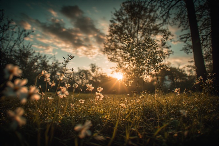 Menemukan Kecerahan Melalui Catatan Sederhana